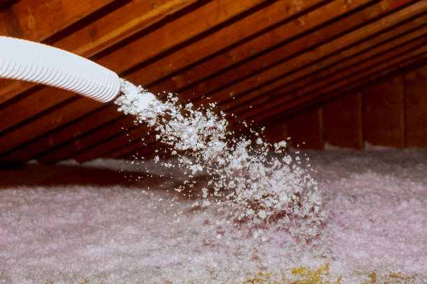 Best Commercial Insulation in Hampton, AR