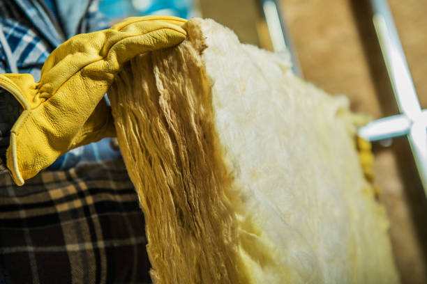 Best Insulation Maintenance and Repair in Hampton, AR